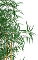 Konstväxt Bambuträd 182 cm
